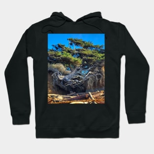 Kalaloch Tree of Life 2 Hoodie